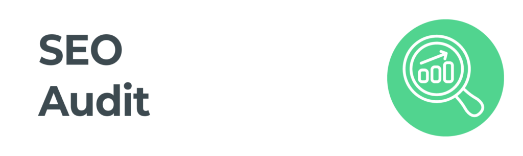 SEO Audit